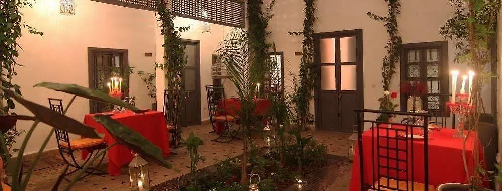 Bougainvillea Riad Marrakesz Maroko