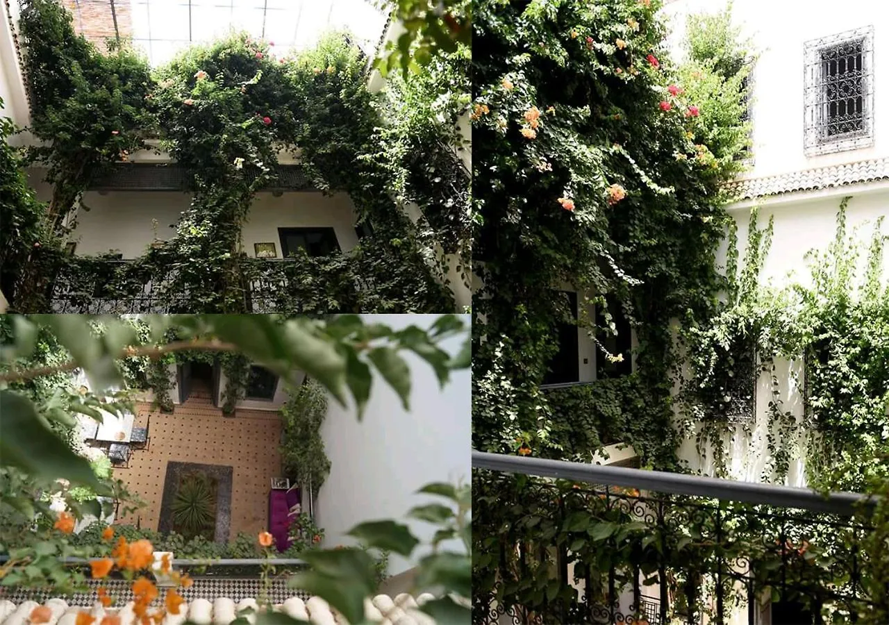 Bougainvillea Riad location