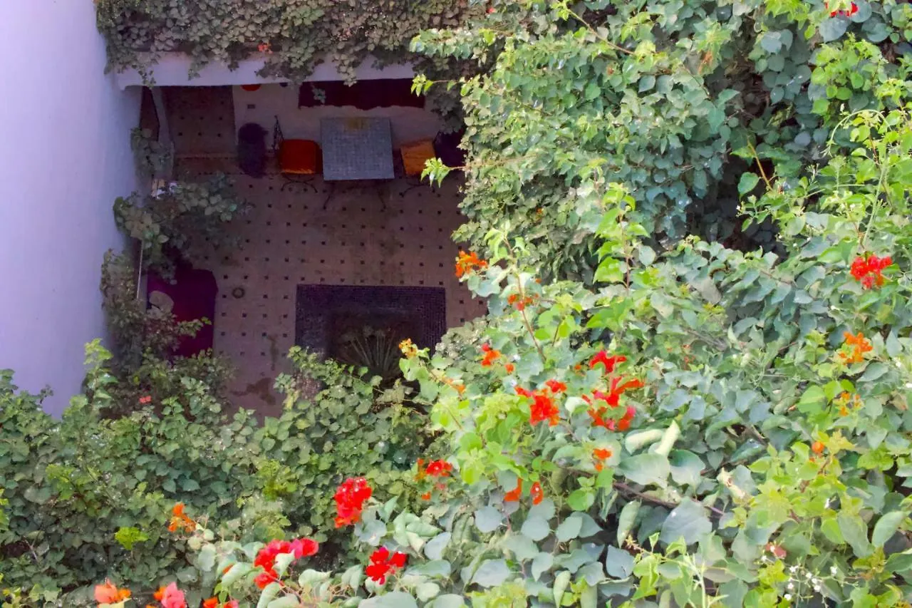 Bougainvillea Riad Marrakesz
