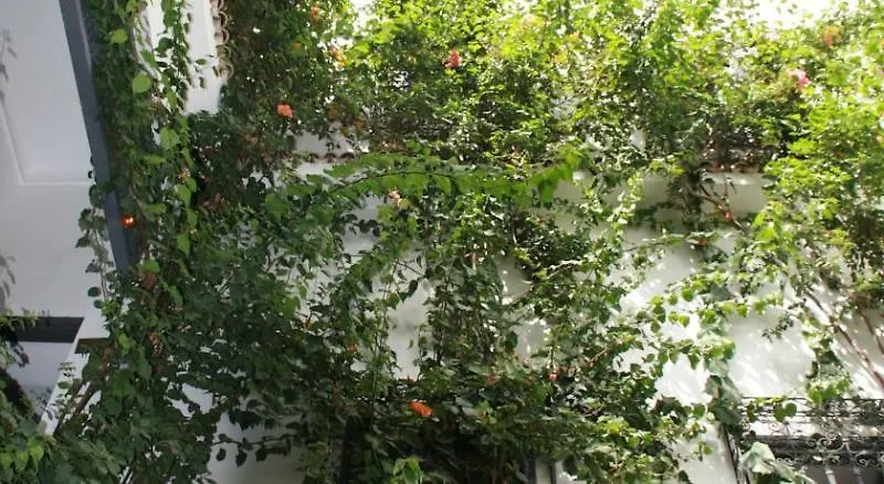 Bougainvillea Riad Marrakesh 3*,