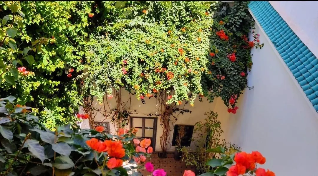 Bougainvillea Riad Marrakesh