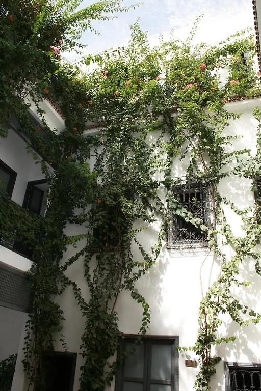 Bougainvillea Riad Marrakesh