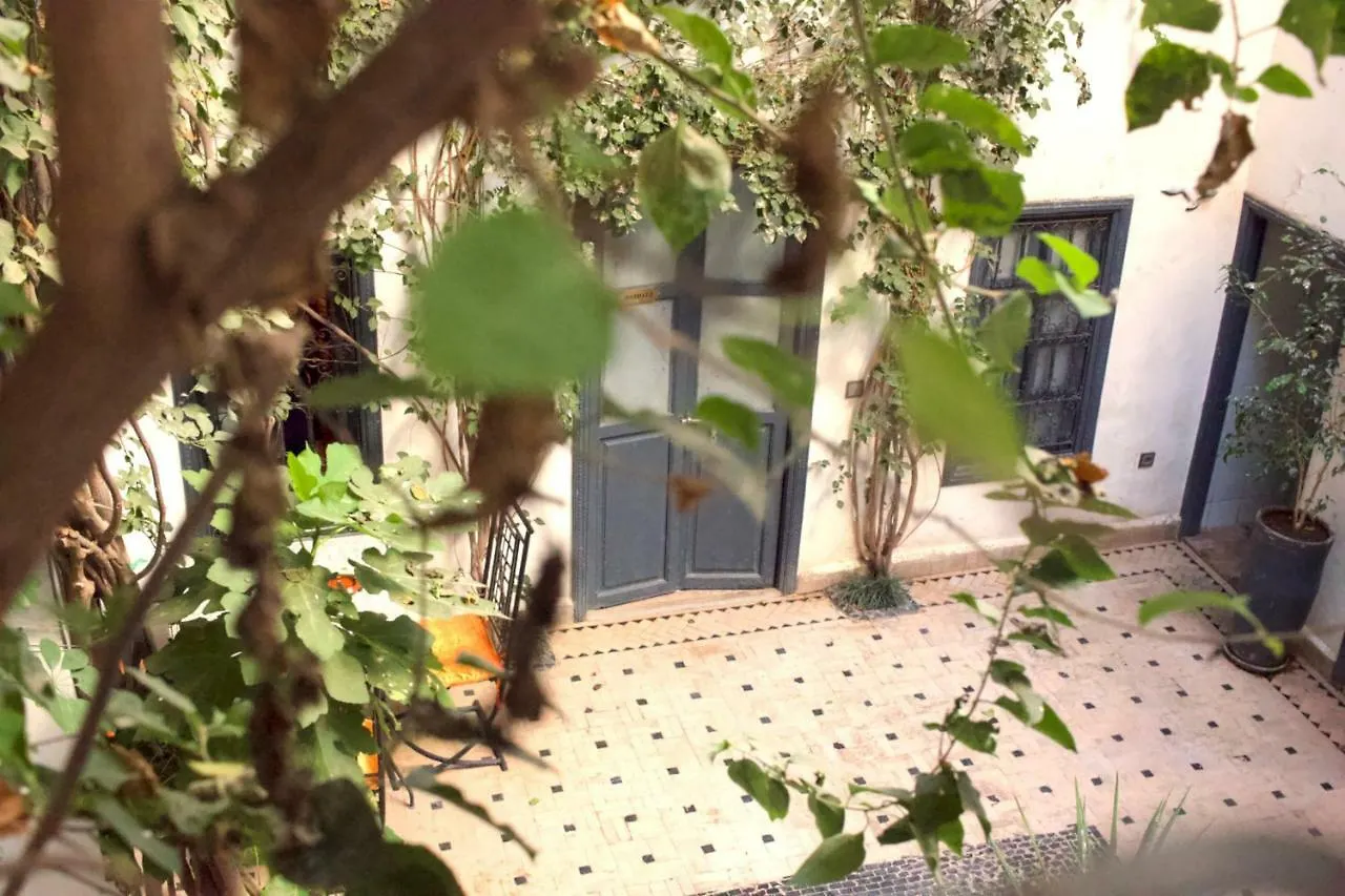 Bougainvillea Riad Marrakesh Morocco